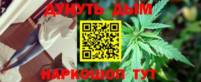 гидра Берёзовский