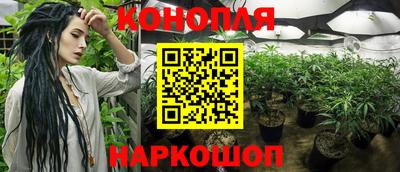 гидра Берёзовский