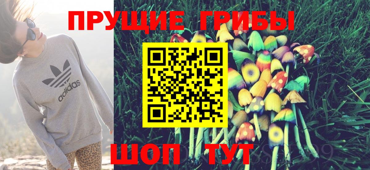 Псилоцибиновые грибы прущие грибы Зеленодольск